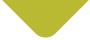 智能代码生成的Web漏洞扫描工具